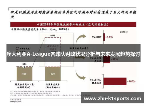 澳大利亚A-League各球队财政状况分析与未来发展趋势探讨