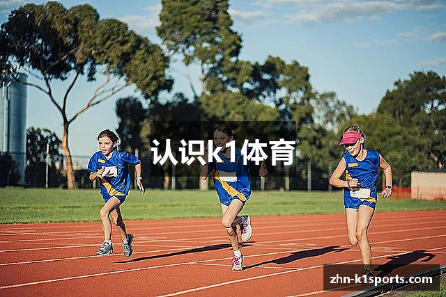 认识k1体育